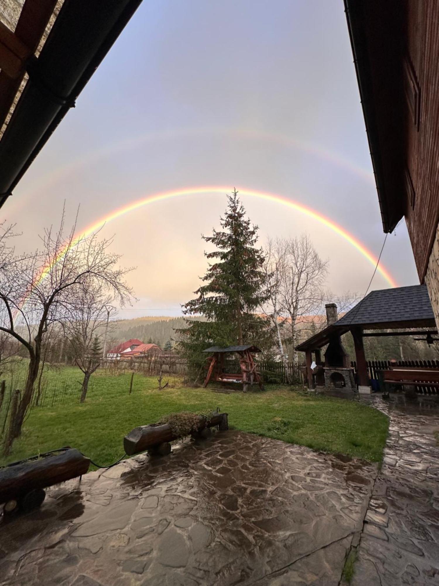 Pensiunea Poiana De Vis Sucevita Buitenkant foto