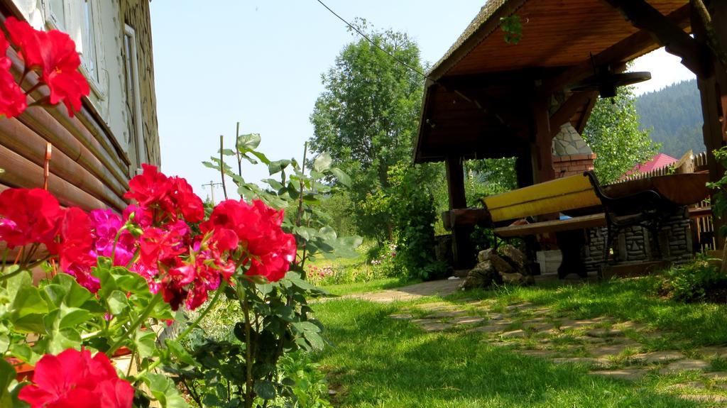 Pensiunea Poiana De Vis Sucevita Buitenkant foto