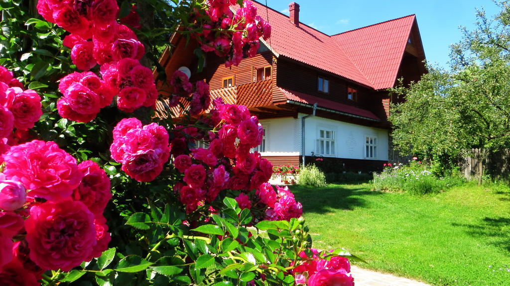 Pensiunea Poiana De Vis Sucevita Buitenkant foto