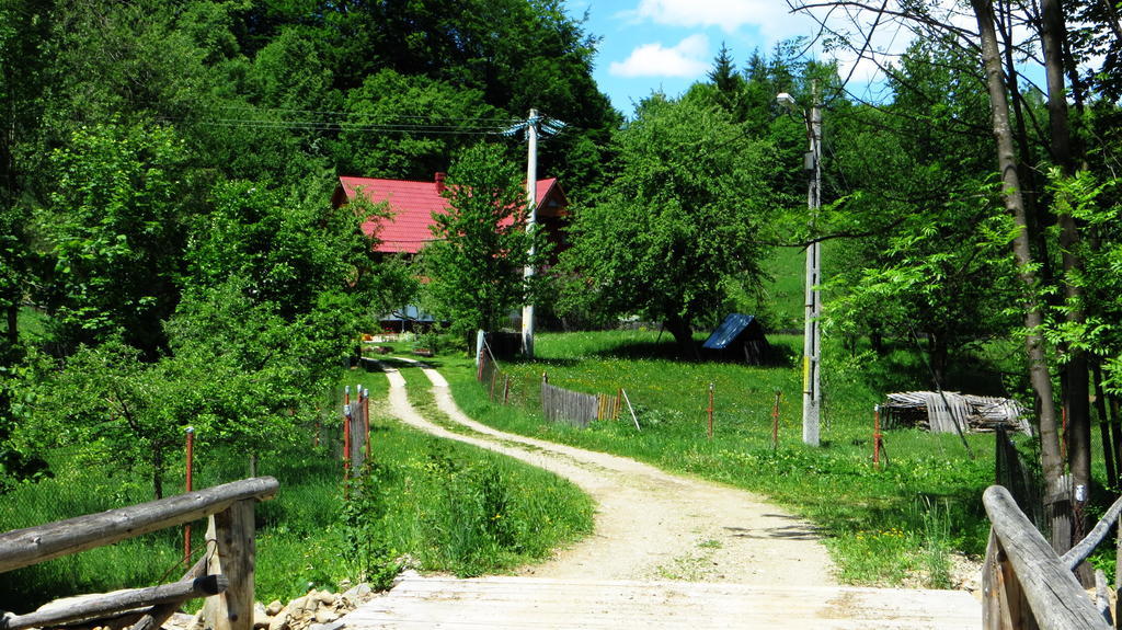 Pensiunea Poiana De Vis Sucevita Buitenkant foto