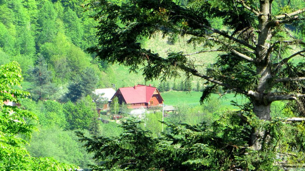 Pensiunea Poiana De Vis Sucevita Buitenkant foto