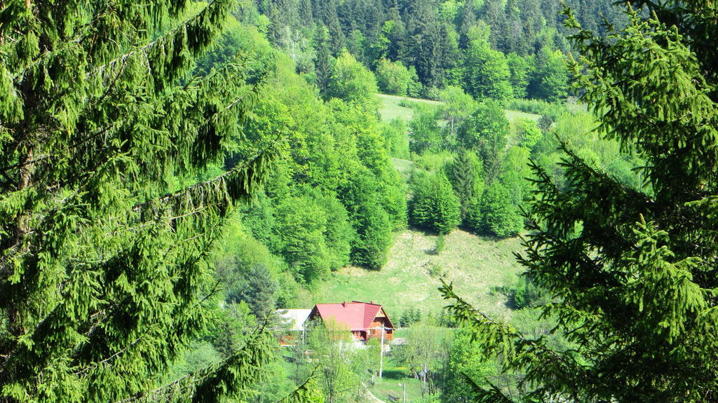 Pensiunea Poiana De Vis Sucevita Buitenkant foto