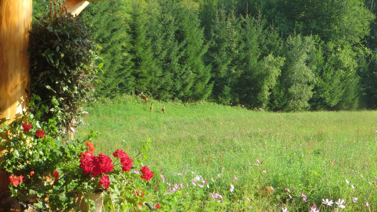 Pensiunea Poiana De Vis Sucevita Buitenkant foto