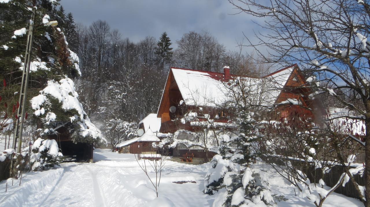 Pensiunea Poiana De Vis Sucevita Buitenkant foto