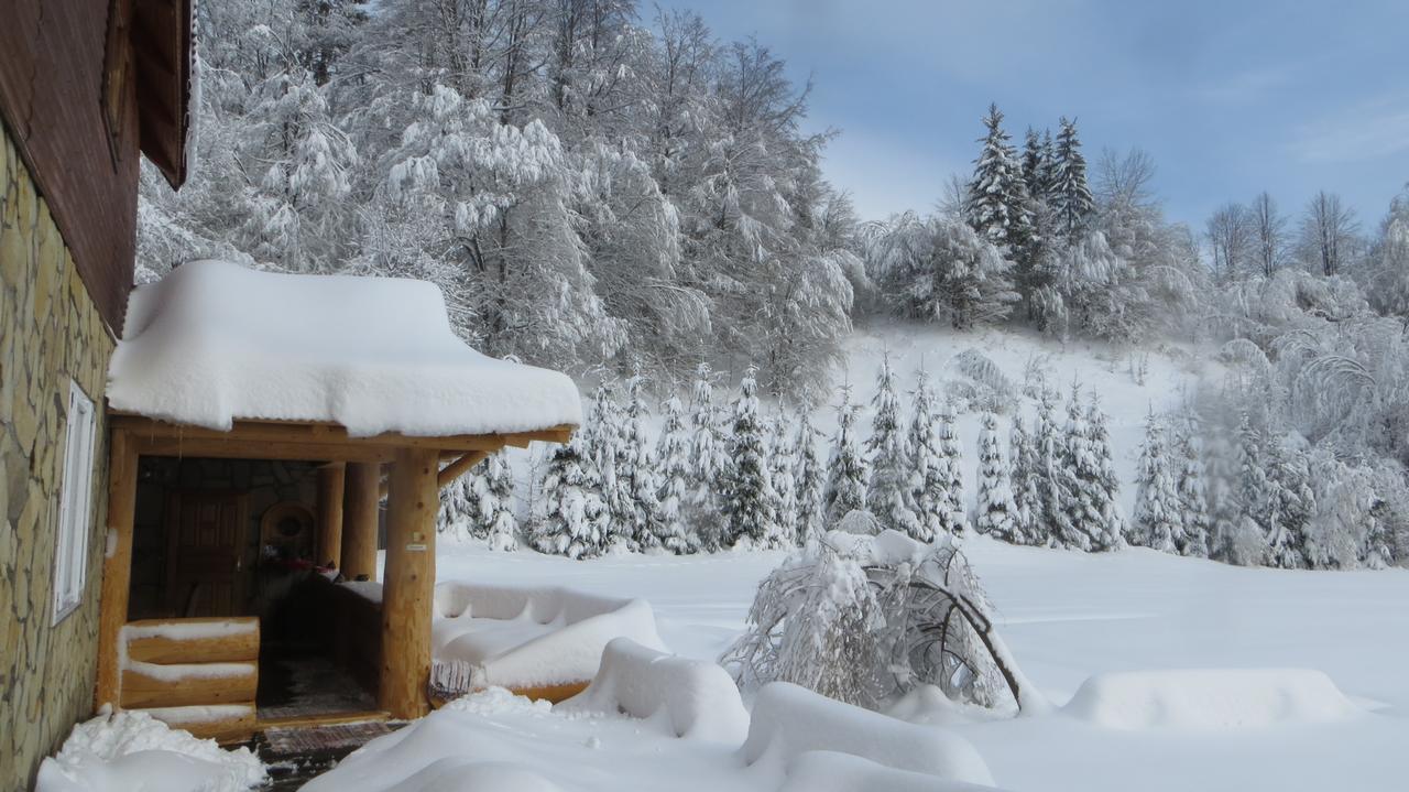 Pensiunea Poiana De Vis Sucevita Buitenkant foto