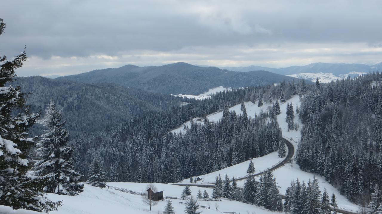 Pensiunea Poiana De Vis Sucevita Buitenkant foto