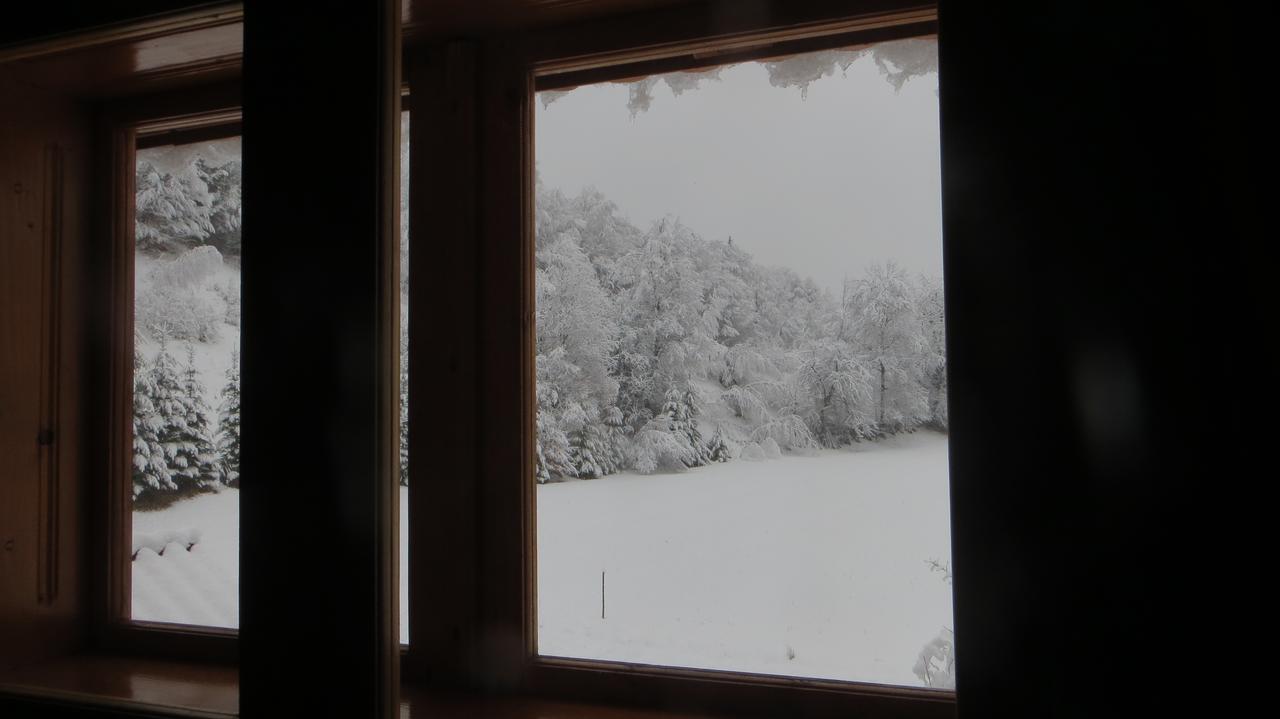 Pensiunea Poiana De Vis Sucevita Buitenkant foto